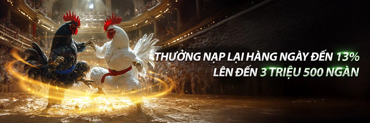 Sân đấu gà trực tuyến đầy kịch tính tại King88vina