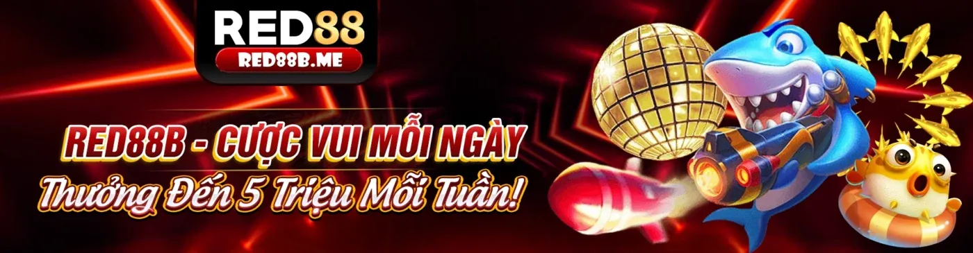 Khái niệm Cookie và bảo mật dữ liệu King88vina